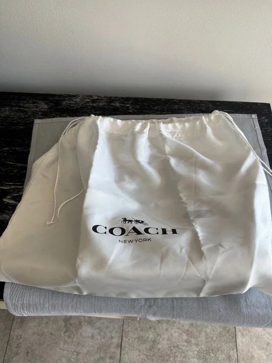 Coach purse with dust bag - Picture 12 of 15